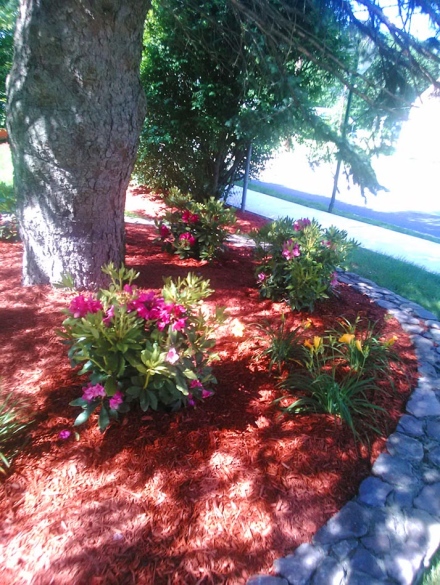 landscaping projects (12)