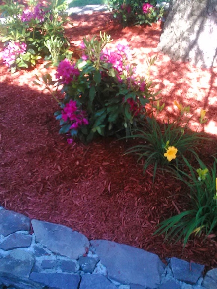 landscaping projects (13)