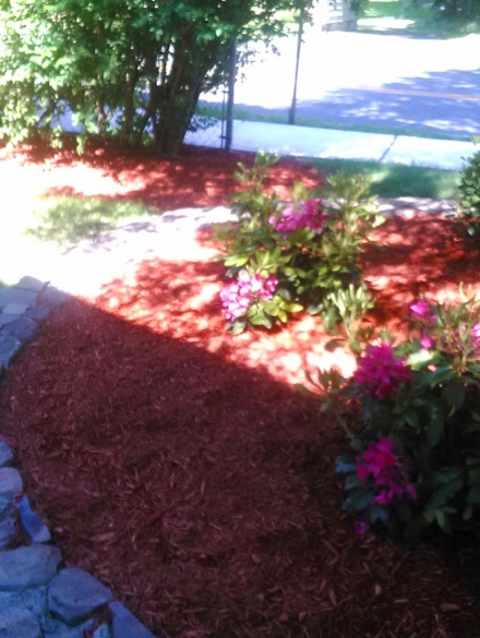 landscaping projects (14)