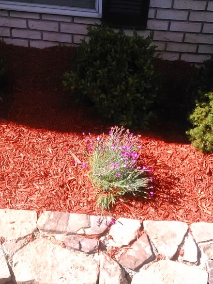 landscaping projects (20)