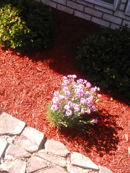 landscaping projects (21)