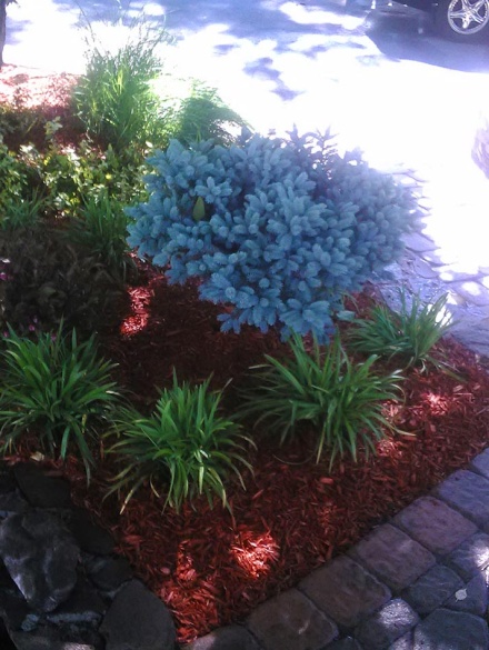 landscaping projects (28)