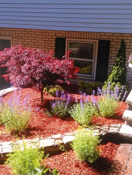 landscaping projects (31)