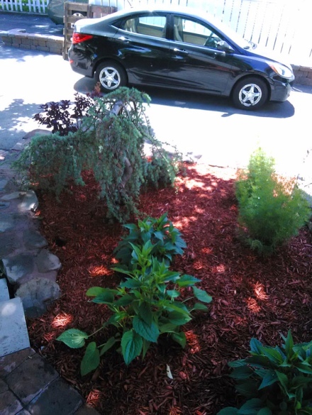 landscaping projects (38)