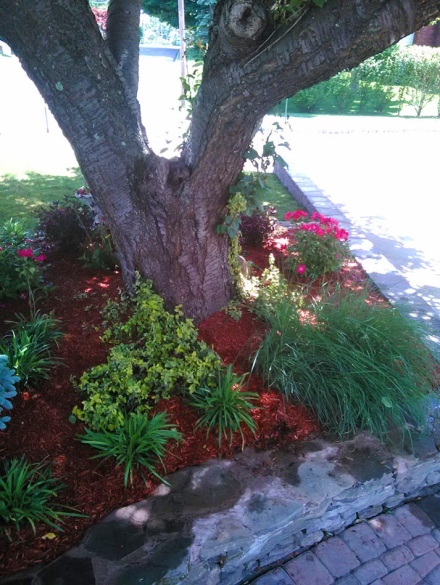 landscaping projects (40)