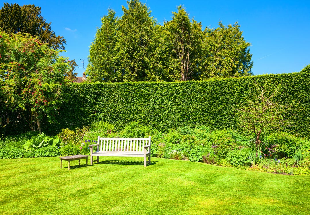 plant fencing