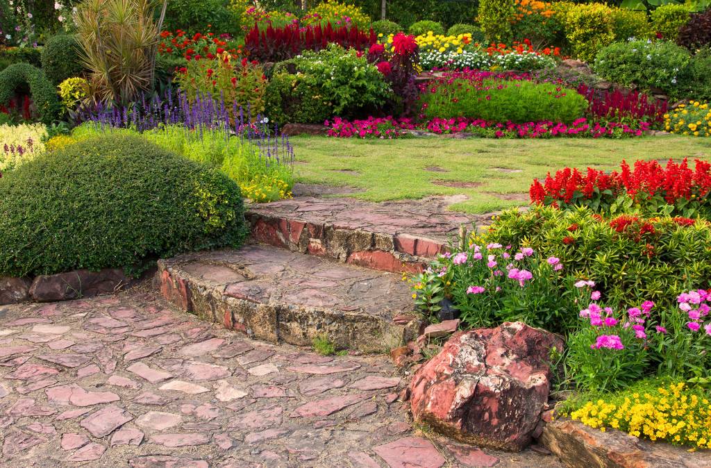 3 Plants That Keep Your Garden Thriving Year-Round