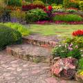 3 Plants That Keep Your Garden Thriving Year-Round