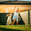 Tricks to Design a Safe and Beautiful Landscape for Kids and Pets