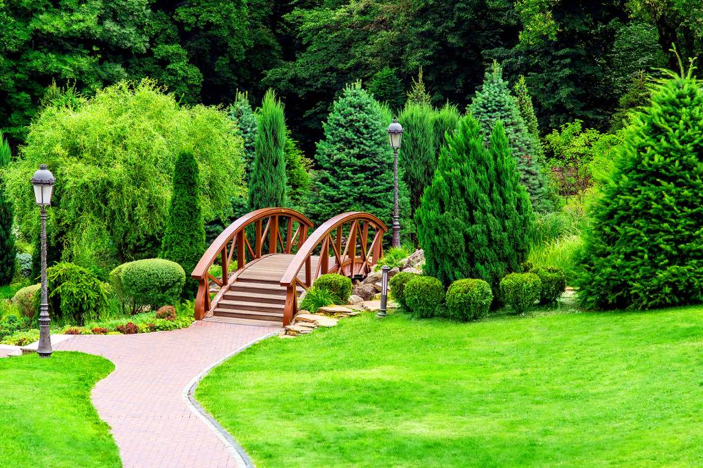 How Landscape Design Makes the Rest of Your Yard Shine